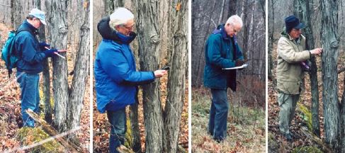 Jim Ronson, John Sankey, George Truscott and Len Collett