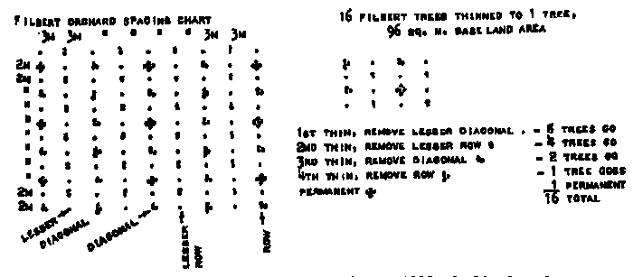 Tree Planting Spacing Chart