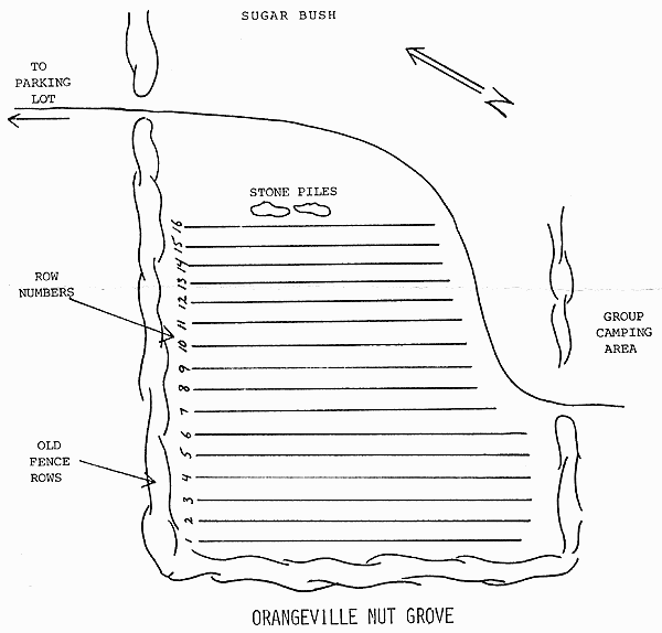 Orangeville Nut Grove
map