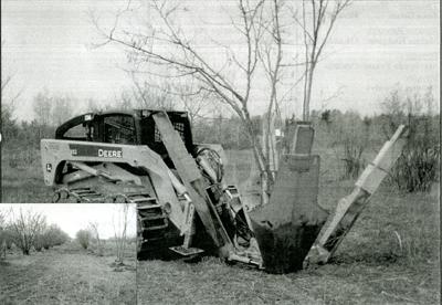 tree spade